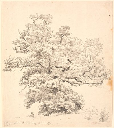 Eine große Eiche, unter der ein zeichnender Mann sitzt von P.C. Skovgaard