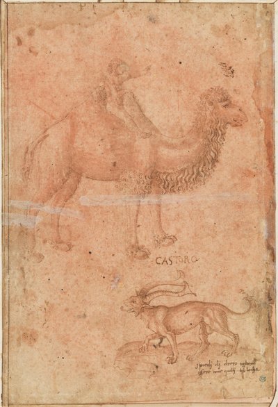 Ein Kamel mit einem reitenden Kind. Darunter ein fabelhaftes Tier (Castoro) von Paolo Uccello