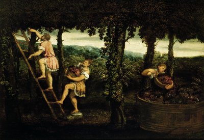 Szene der Weinlese von Paris Bordone