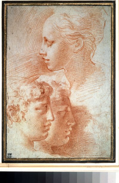 Studie von Köpfen von Parmigianino