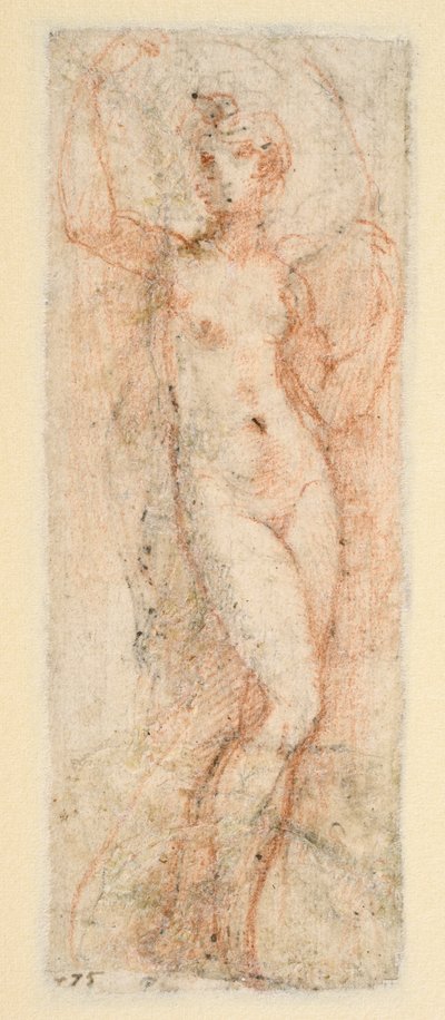 Weibliche Figur - Studie für die Steccata von Parmigianino