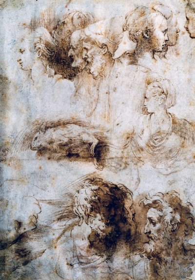 Studie für eine tote Maus, männliche und weibliche Profile von Parmigianino