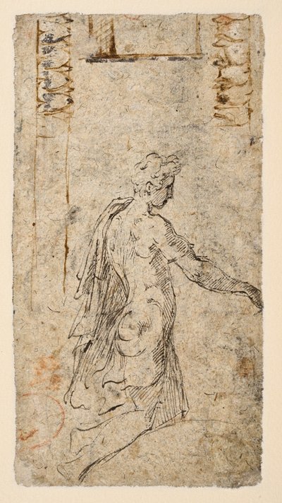 Studie eines knienden jungen Mannes von Parmigianino