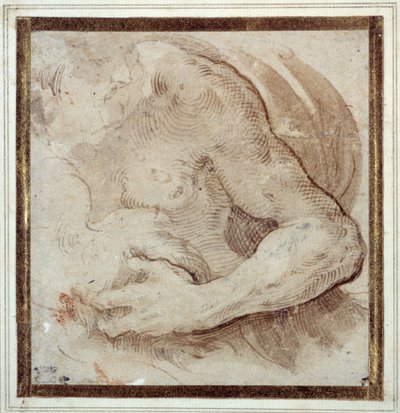Studie des linken Arms, der Brust und des Kopfes eines bärtigen Mannes von Parmigianino
