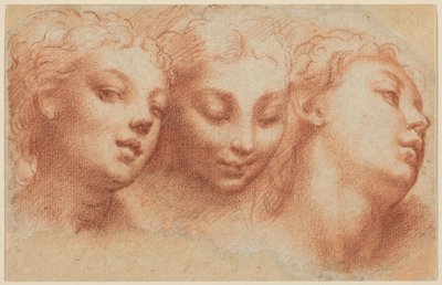 Drei weibliche Köpfe von Parmigianino