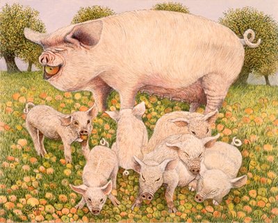 Schweine fressen von Pat Scott