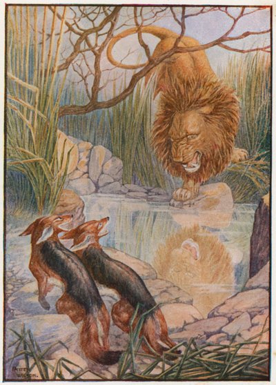 Ein Löwengesicht blickte ihm aus dem Wasser entgegen (Farblithografie) von Patten Wilson