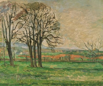 Die kahlen Bäume bei Jas de Bouffan von Paul Cézanne