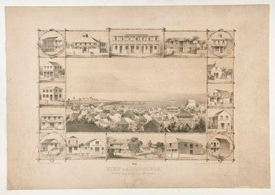 Ansicht von Honolulu, von der katholischen Kirche (Nr. 3) von Paul Emmert
