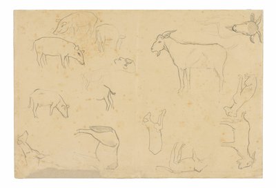 Skizzen verschiedener Tiere und Kopf (recto), Skizzen eines Kopfes, Figur im Profil, anatomische Details und Tiere (verso) von Paul Gauguin