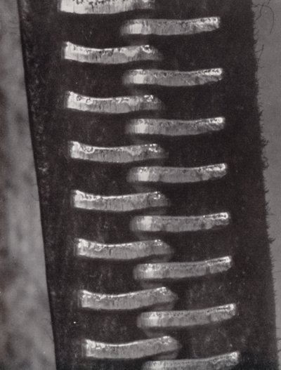 Reißverschluss von Paul Henning