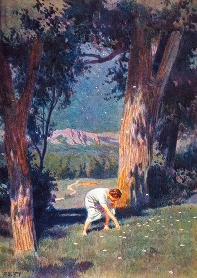 Die Sterntaler von Paul Hey