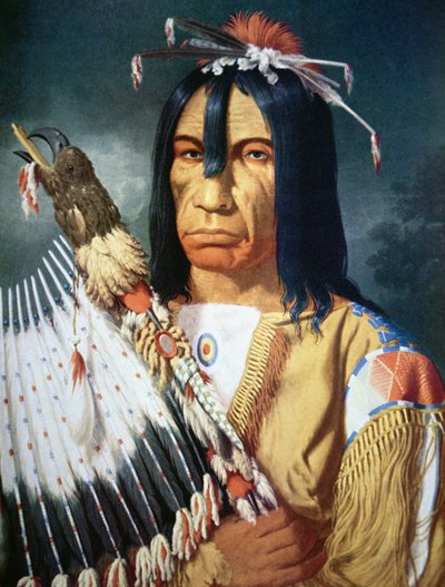 Häuptling der Cree-Indianer in Kanada von Paul Kane