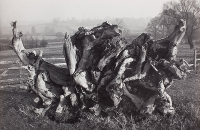 Laokoon, Carswall