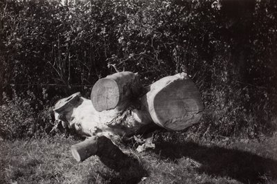 Gefundenes Objekt von Paul Nash