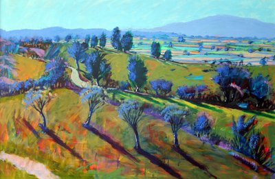 Crickley Hill Frühling von Paul Powis