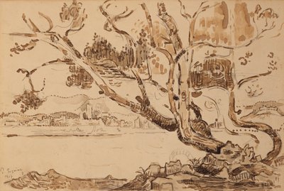  von Paul Signac
