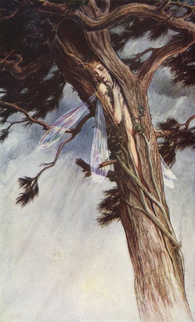 Der Sturm von William Shakespeare, Akt I, Szene 2 von Paul Vincent Woodroffe