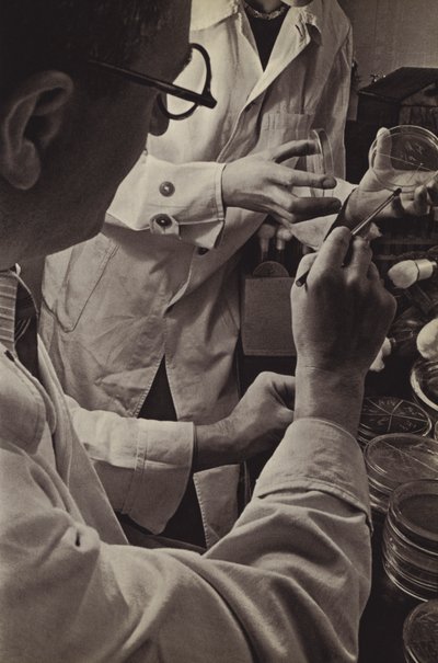 Deutsche Industrie von Paul Wolff