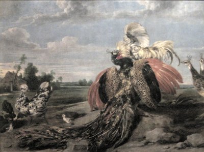 Pfau und Hahnkampf von Paul De Vos