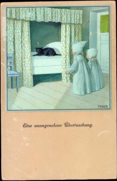 Eine unangenehme Überraschung von Pauli Ebner