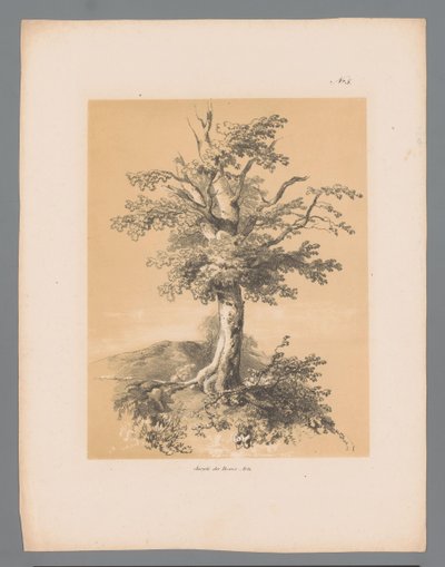 Baum (Pittoreske Ansichten von Paulus Lauters) von Paulus Lauters