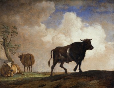 Der Stier von Paulus Potter