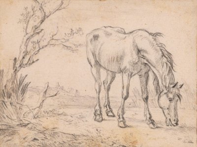 Ein weidendes Pferd von Paulus Potter