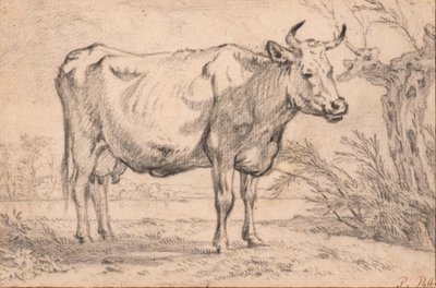 Eine stehende Kuh von Paulus Potter