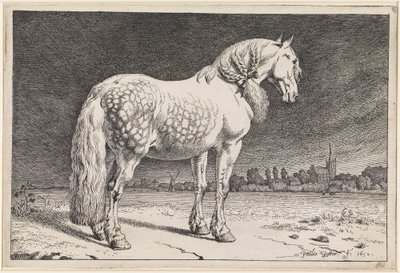 Das friesische Pferd von Paulus Potter
