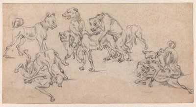 Kämpfende und paarende Hunde von Paulus Potter