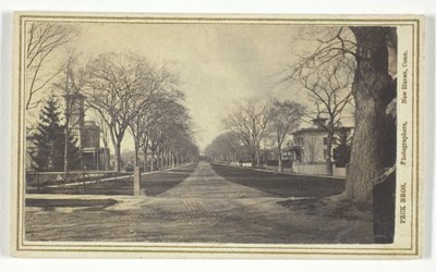 Hillhouse Avenue von Peck Brothers