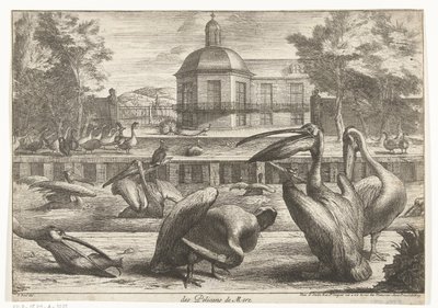 Pelikanen von Peeter Boel (attributed to)