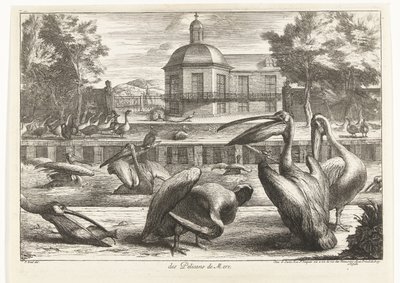 Pelikanen von Peeter Boel (attributed to)