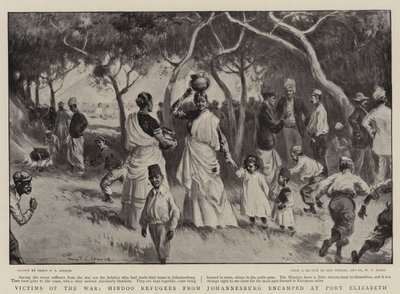Opfer des Krieges, Hindoo-Flüchtlinge aus Johannesburg, die in Port Elizabeth lagern von Percy F.S. Spence