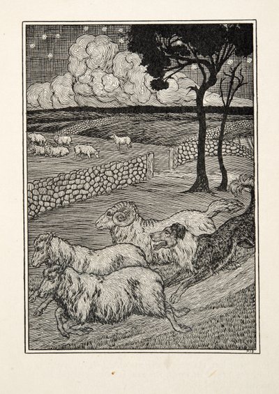 Ein hundeartiger Schafsdieb, aus Hundert Anekdoten über Tiere, veröffentlicht 1924 von Percy J. Billingshurst