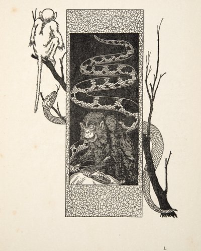 Affe gegen Schlange, aus Hundert Anekdoten über Tiere, veröffentlicht 1924 von Percy J. Billingshurst