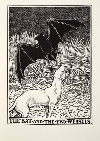 Die Fledermaus und die zwei Wiesel, aus Fontaine Fabeln, veröffentlicht 1905 von Percy J. Billingshurst