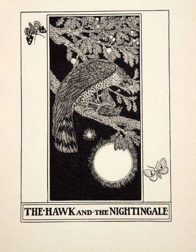 Der Falke und die Nachtigall, aus Hundert Fabeln von Aesop, veröffentlicht 1903 von Percy J. Billingshurst