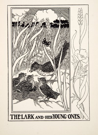 Die Lerche und ihre Jungen, aus Hundert Fabeln von Äsop, veröffentlicht 1903 (Gravur) von Percy J. Billingshurst