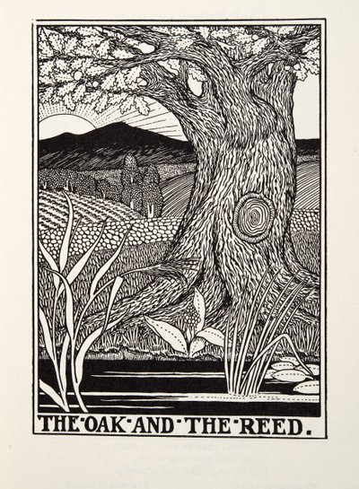 Die Eiche und das Schilfrohr, aus Fontaine Fabeln, veröffentlicht 1905 von Percy J. Billingshurst