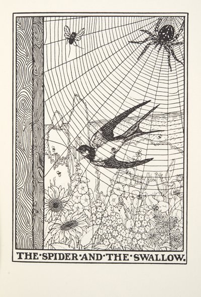 Die Spinne und die Schwalbe, aus Fontaine Fabeln, veröffentlicht 1905 von Percy J. Billingshurst