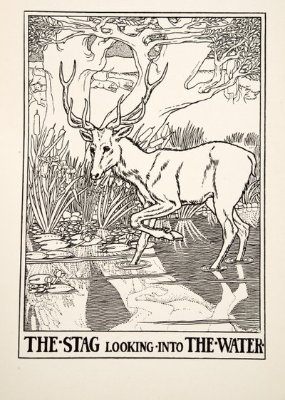 Der Hirsch, der ins Wasser schaut, aus Hundert Fabeln von Äsop, veröffentlicht 1903 (Gravur) von Percy J. Billingshurst