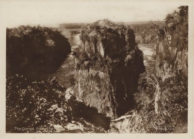 Die Schlucht vom Hotel, Victoriafälle von Percy M. Clark