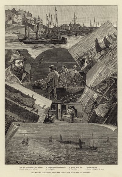 Unsere Fischereiindustrie: Treibnetzfischerei auf Sardinen vor Cornwall von Percy Robert Craft