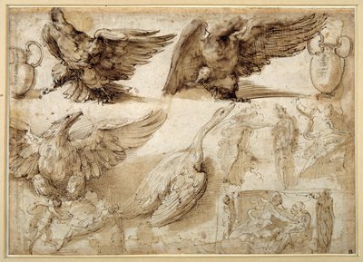Studien eines Adlers, einer Gans, eines Krugs, eines Gefäßes und menschlicher Figuren, darunter zwei für eine Vergewaltigung der Lucretia von Perino del Vaga