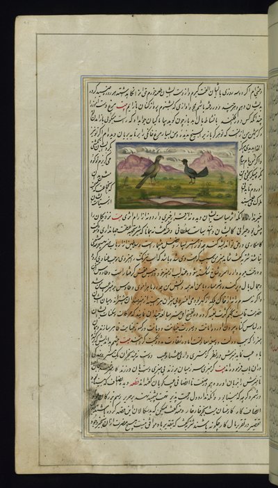Ein Falke und eine Henne aus Lichter von Canopus von Persian School