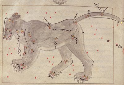 Der Große Bär, aus dem Buch der Sterne nach El Hussein von Persian School
