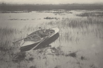 Schütze arbeitet sich zu den Vögeln vor von Peter Henry Emerson, Thomas Frederick Goodall