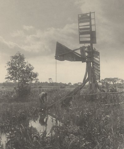 Eine zerstörte Wassermühle, 1886 von Peter Henry Emerson